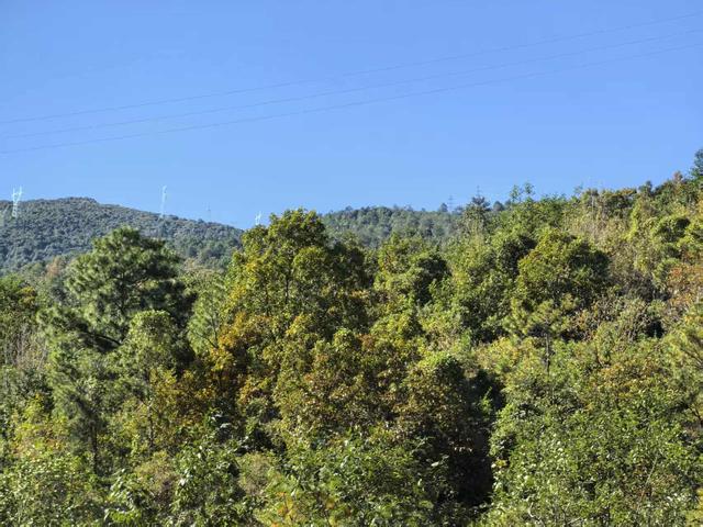 前往者摩山徒步