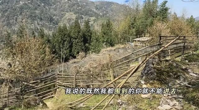 山野不是“免费超市”