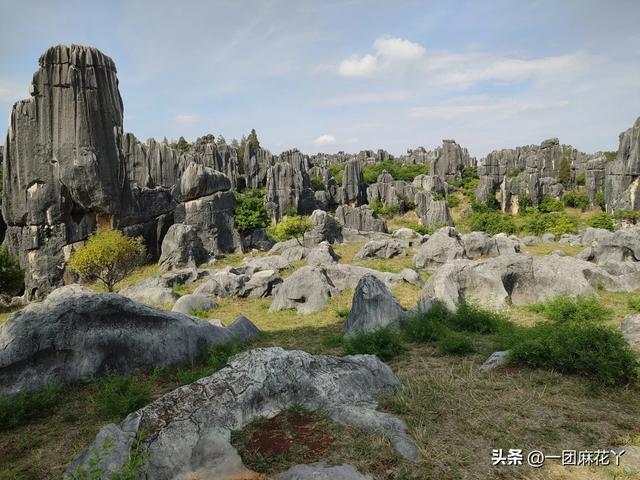游昆明石林
