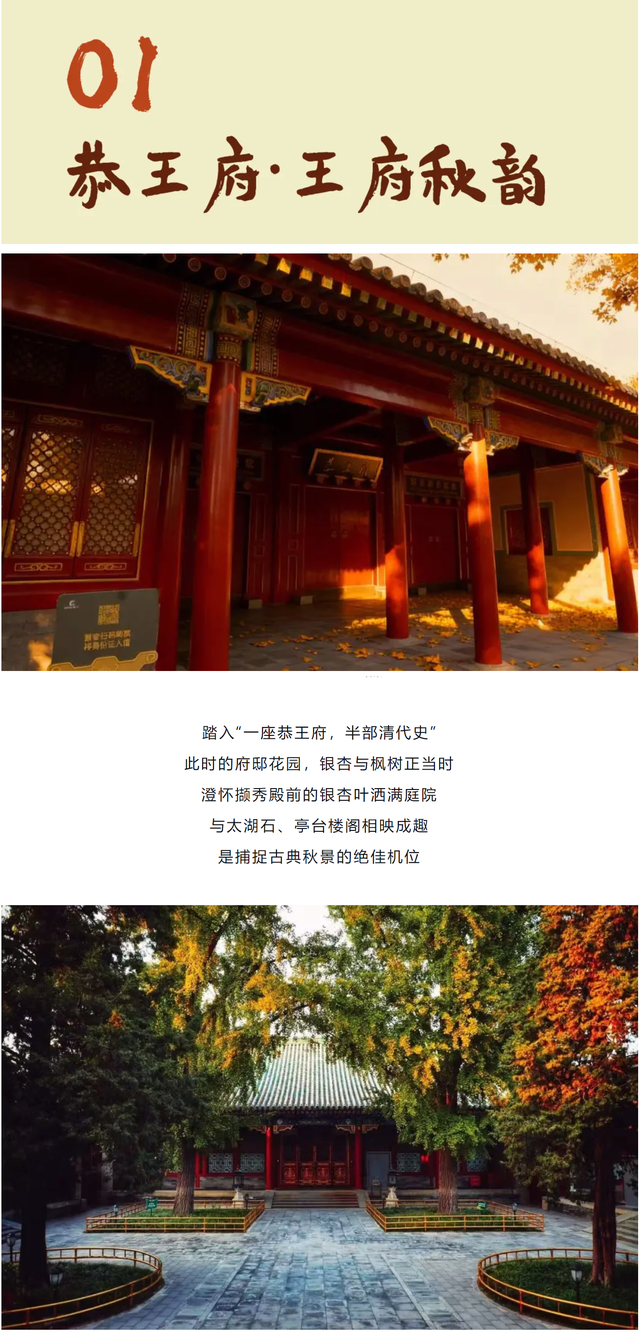 云逛街巷 | 点击一秒入秋，迷路在胡同的美学里