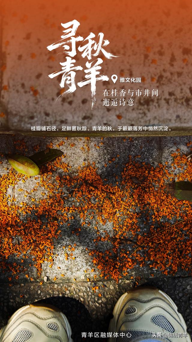 寻秋青羊：在桂香与市井间邂逅诗意