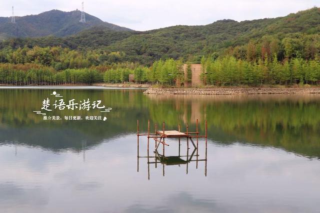 绍兴上虞的红杉观赏胜地，杉树未红时的景色也很美，非常值得游玩