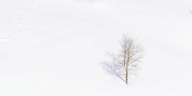 阿勒泰冬日独白