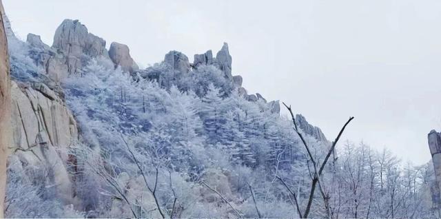 雾凇、红枫双景齐临崂山 接下来两个月凭抵青高铁票或飞机票半价游崂山