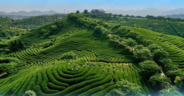 鲸奇世界、虎园探秘……厦龙亲子联程游!出发→