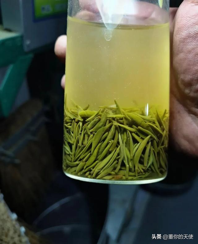 真信了！去了一趟信阳后，终于接受信阳不像是河南城市这话了！