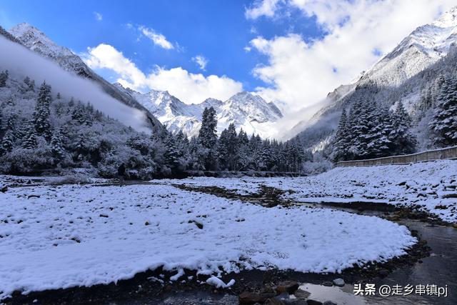 深秋走进理小路
