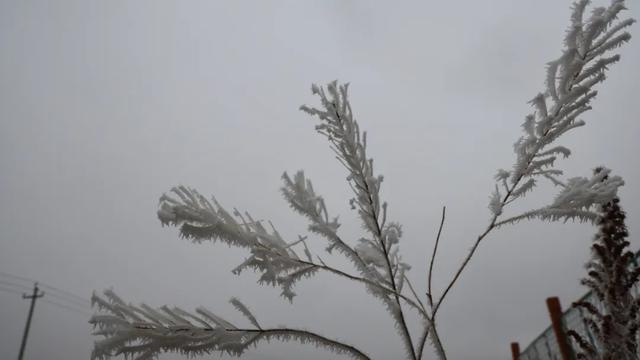 玛曲寒意渐起：裹暖，藏安，待冬来