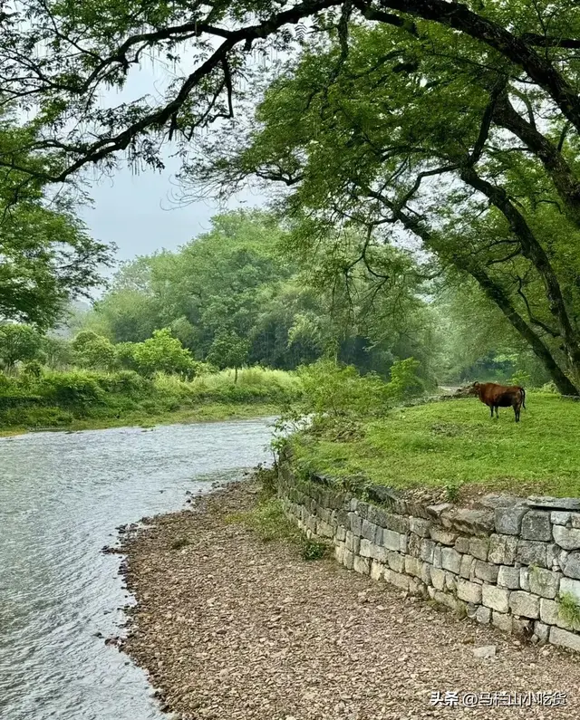 永州超全旅游，小众景点打卡攻略奉上！