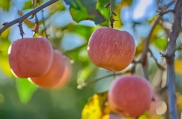 太全面了！8条游玩线路+京郊汤泉！带您玩转北京这里！（1）