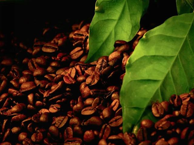 青春飞扬·有你必咖！等你到保山寻一抹咖香→