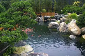 庭院假山鱼池怎么做？别急，这里有37个款式图片