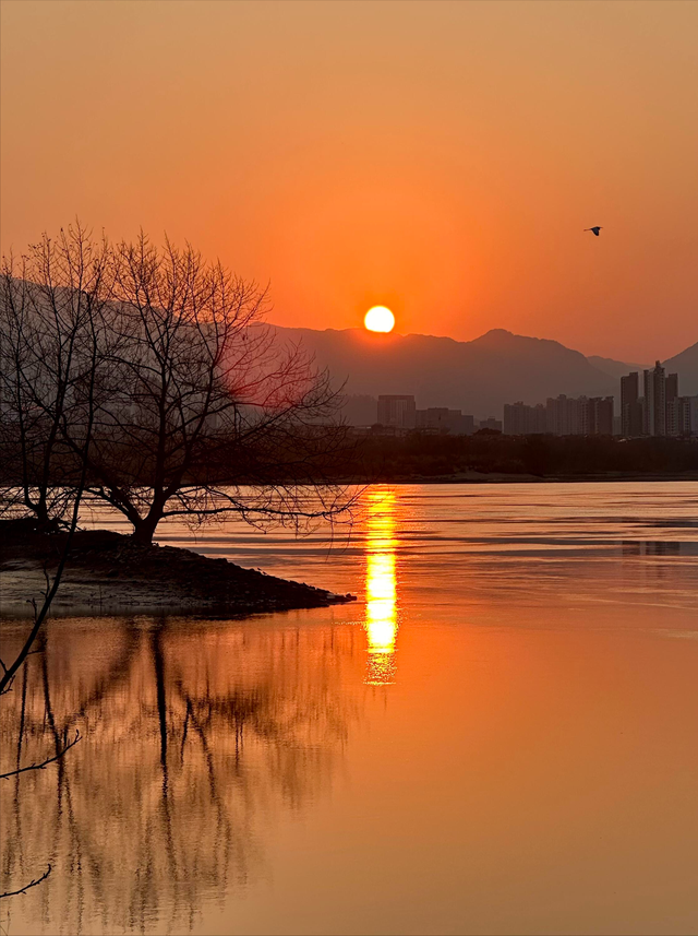 福州春日出游必打卡！农大沙滩公园的郁金香花海，美到令人藏不住