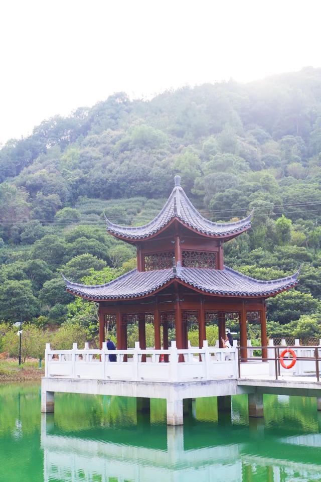 高温退 退 退！西山岛已开启天然空调模式！