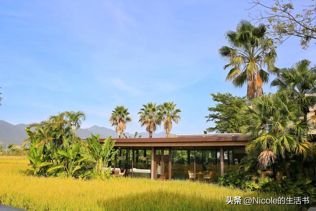 稻浪浸温汤，古村藏清欢