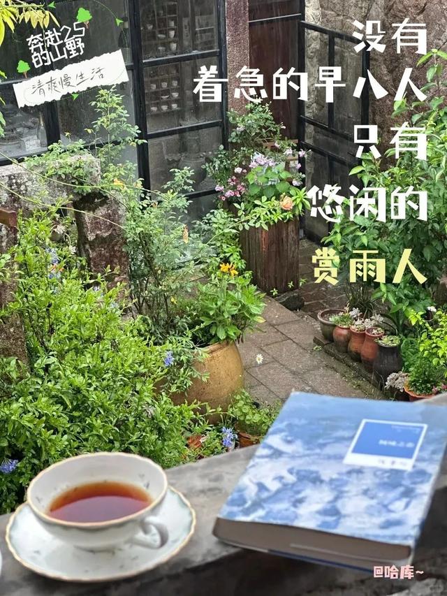 厦门山野假日！沈月同款清爽慢生活→