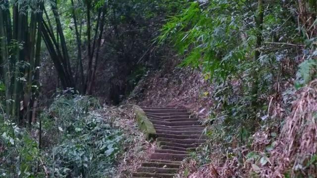 “崃”徒步｜在竹海茶山间，听山风吟唱丝路往事