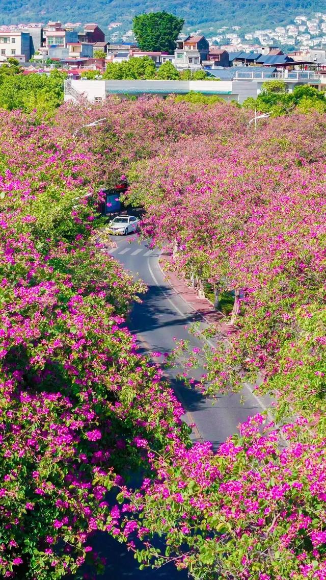 肇庆咖啡嘉年华来了！承包你整个月的快乐