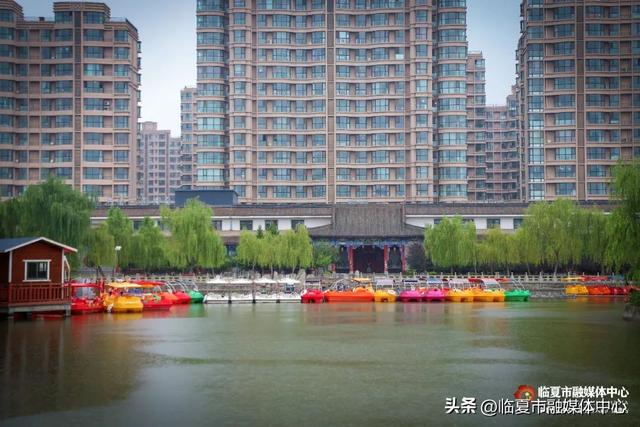 秋雨落，诗意起…邂逅临夏秋雨的美