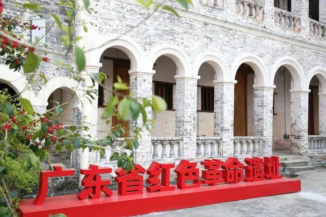 格桑花、紫花风铃木、雪白油茶花……肇庆这里太美了！