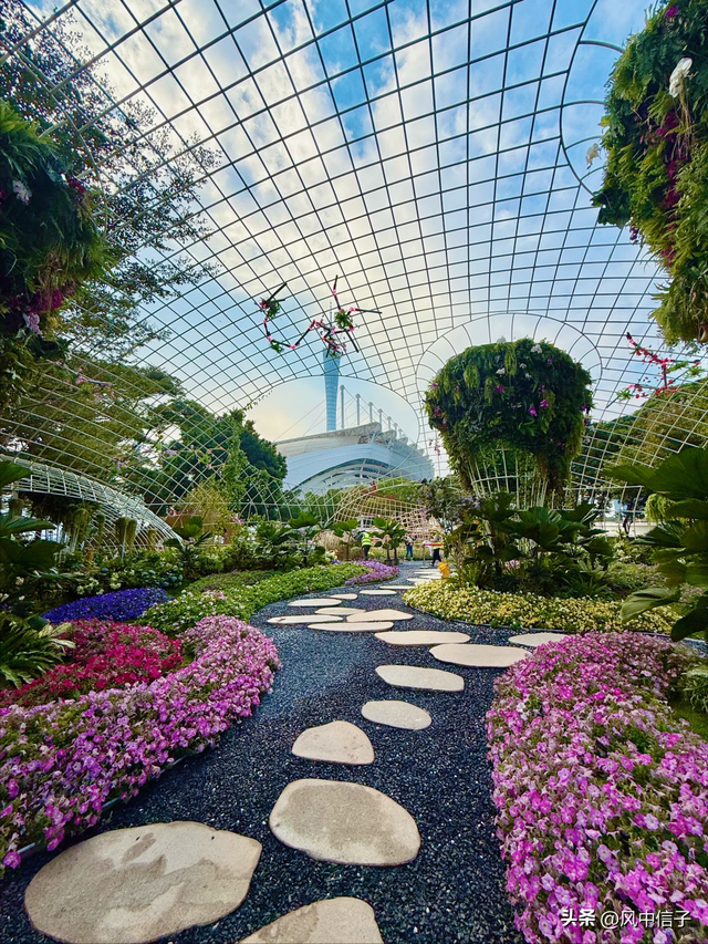 这个周末不如带娃去逛逛这里的花花