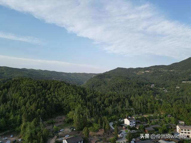 四川行(68)古蜀道——金牛道60公里徒步⑤普安到翠云廊沿途航拍