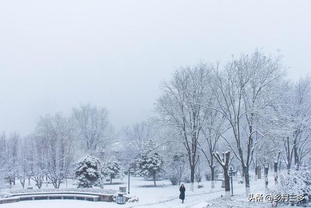今日二九，老话说：“最怕二九一日晴”，二九晴天有啥预兆？