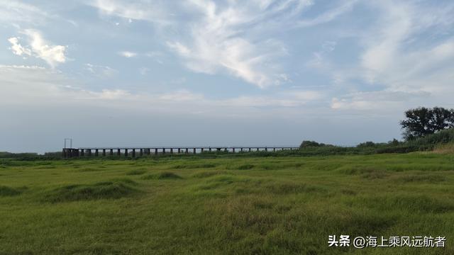 别再找秋天的海了！南京溧水这片草海才是顶流，我已去过了