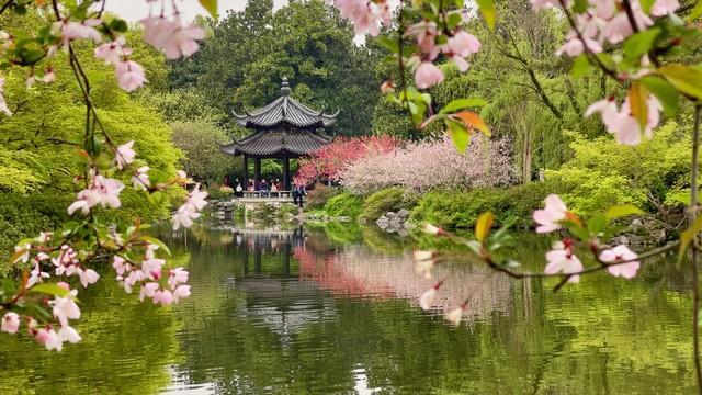 杭州一日漫游指南：湖山入画，打卡西湖最美的诗与远方