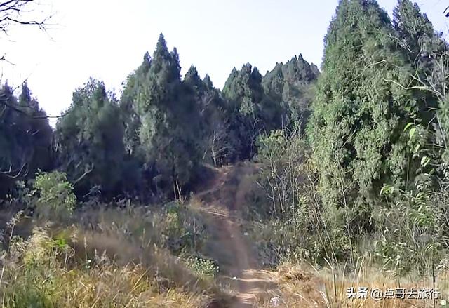 成都龙泉山爆红徒步路线，享受超级梭梭板，大人小孩都喜欢！