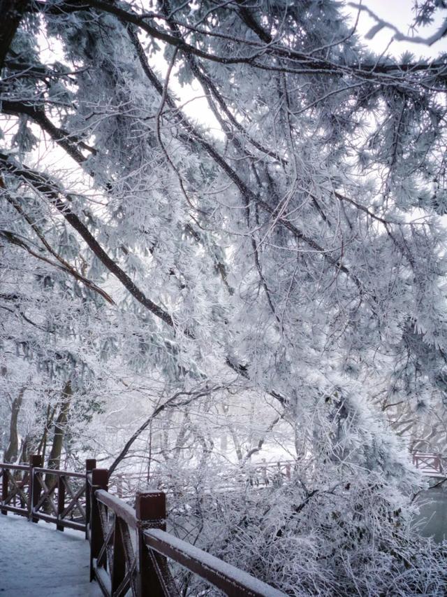 又来？这样的随州，你见没见过？