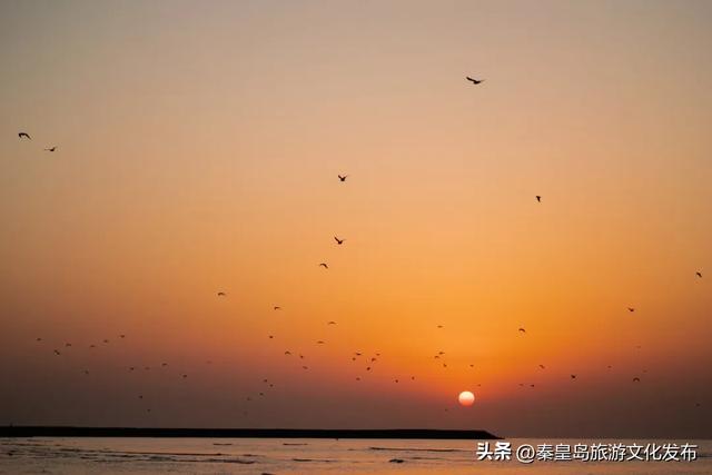 当旅游成为情感疗愈:北戴河新区提供的情绪价值到底在哪里?