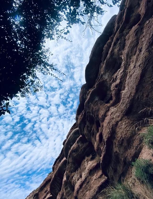自驾青甘大环线 7 天，我治好了 3 年焦虑：戈壁星空下，敢和自己和解