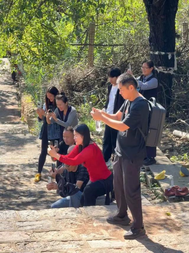 聚焦 “不墨山亭”，共赴幸福之约！金秋媒体行解锁小城秋日美景