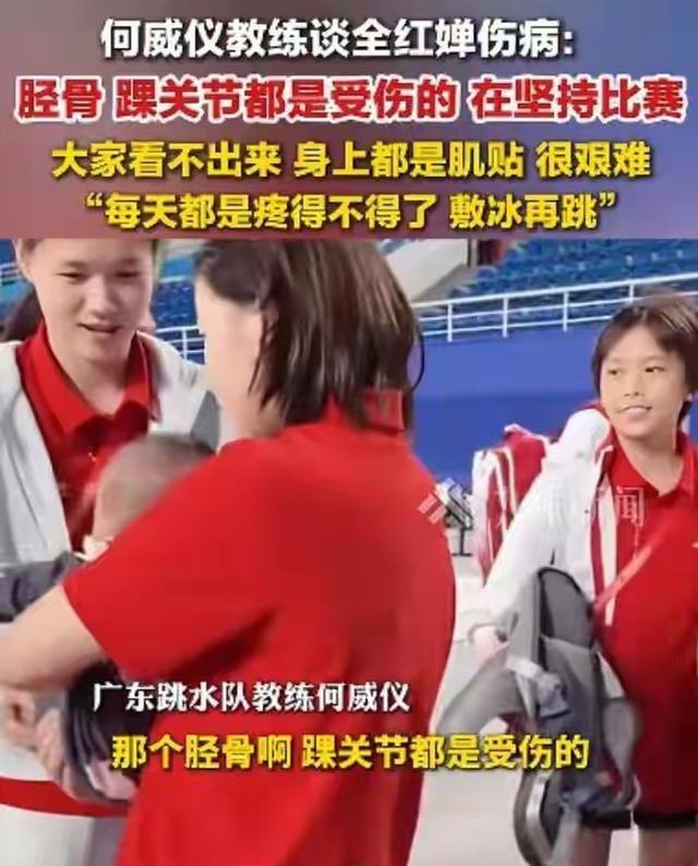 就在今天！11月6日凌晨，跳水界传来全红婵、练俊杰、陈芋汐消息