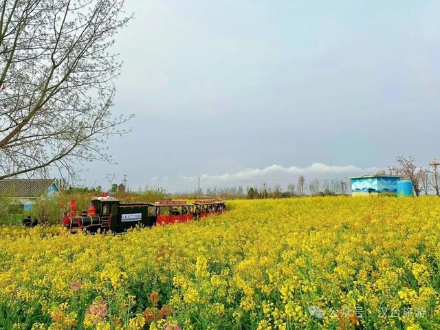 汉台这个景区斩获行业大奖→