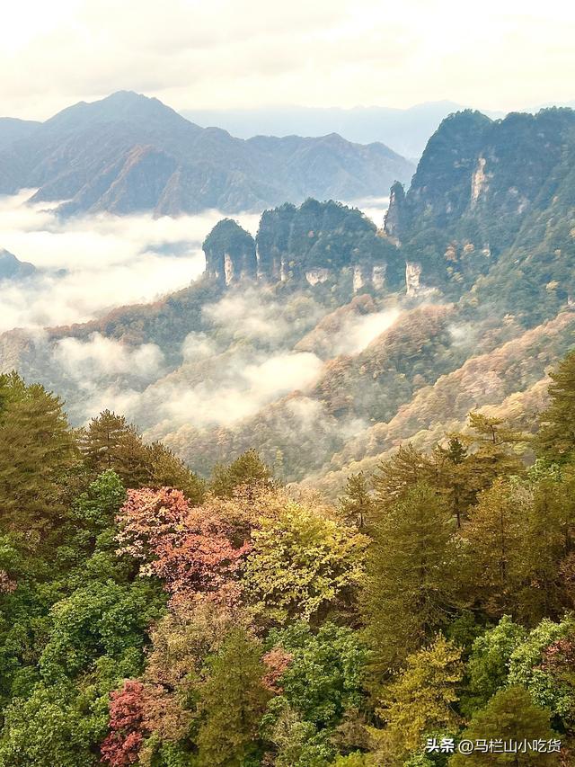 四川巴中光雾山旅游 |打卡 一场绝美的山水之旅！