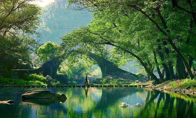 余姚白云桥，一座传说阴阳交界的神秘古桥，如牛望月,补天镶地