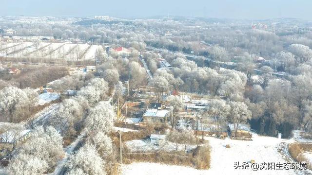 沈阳生态之美 | 沈阳棋盘山雾淞漫卷