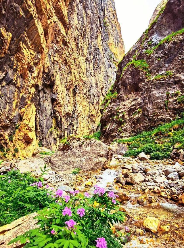 武汉人，去了浠水跟蕲春两县，直言不讳：浠水跟蕲春天差地别