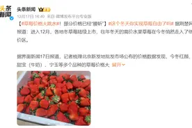 草莓是“最脏水果”？致性早熟？注意！这里不洗，咋吃都中毒！图片