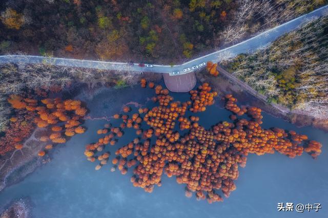 南京的秋天，凭什么这么低调？