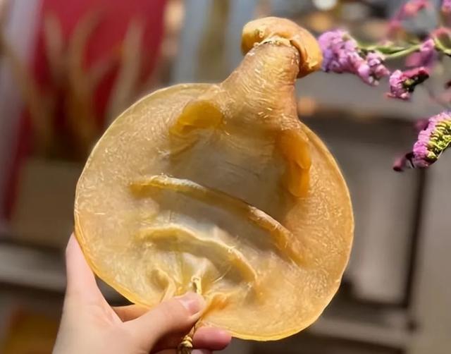 鱼胶是什么鱼做成的 鱼胶是什么鱼做成的图片