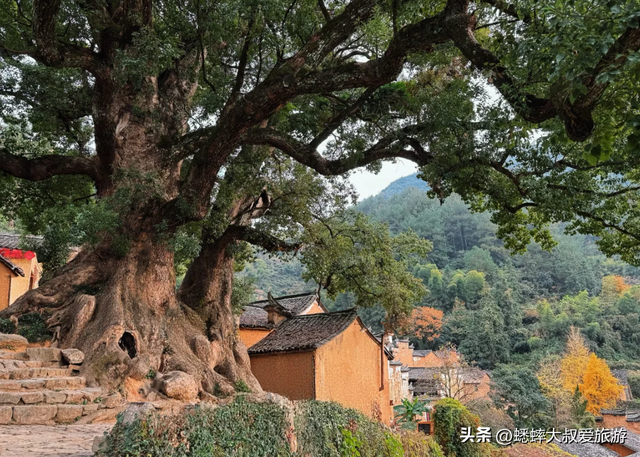 多年还保持初心的浙江古村，不愧是江南秘境，已成高质量度假地！