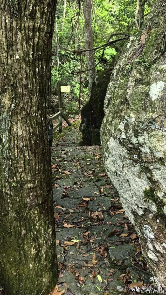 真正的小众避暑胜地！这方秘藏于千米高山之上的清凉秘境等你来！