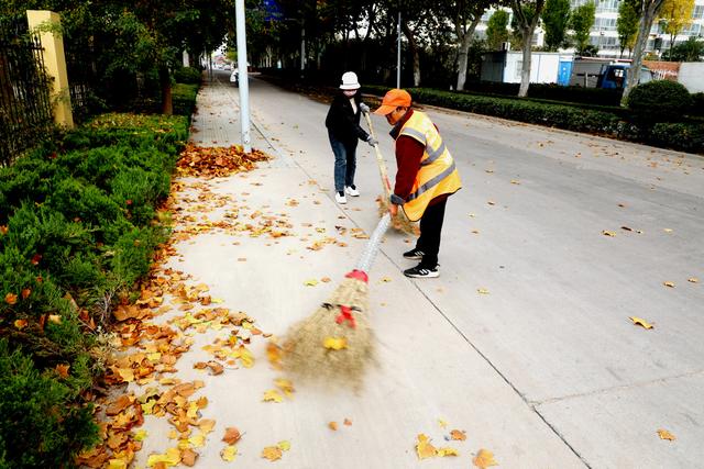 临沭开启“落叶缓扫”模式留住城市秋季美景