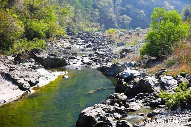 康县的春，从南一路盛开