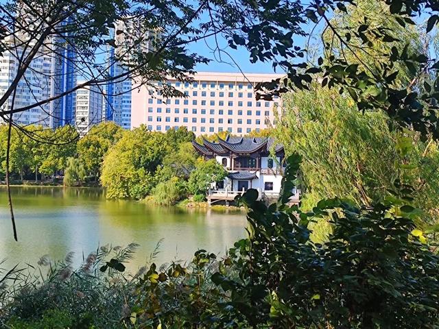 云龙公园春色好，绿肺含韵润彭城