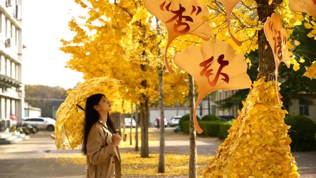 河北经贸大学2025金秋银杏节11月8日盛大开幕