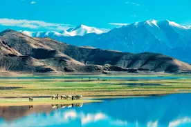 地理冷知识——西藏阿里图片